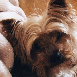 Meet your Posher, Jamie